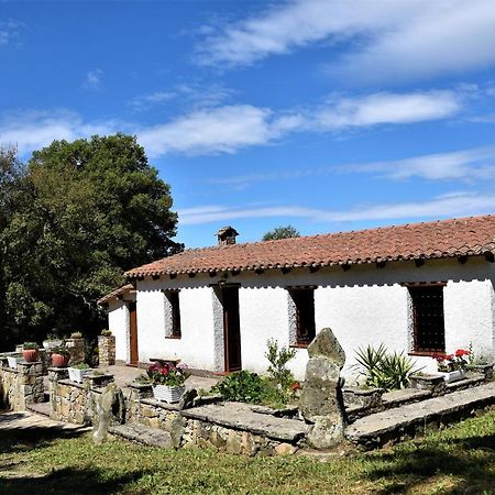 B&B I Menhir Sorgono Exterior photo