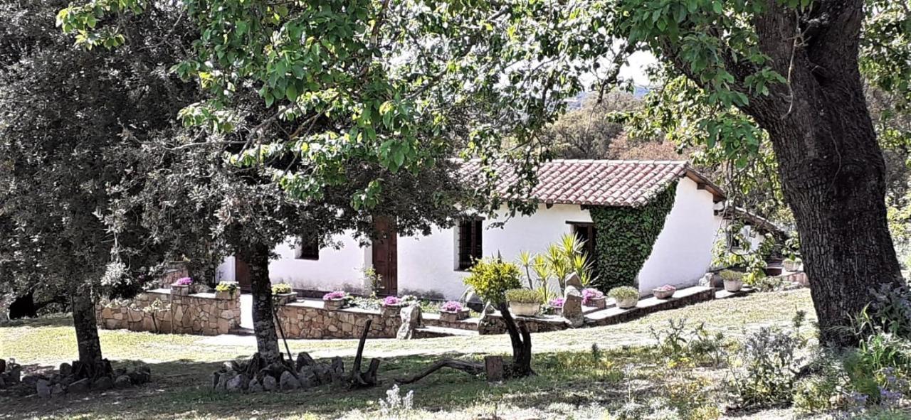 B&B I Menhir Sorgono Exterior photo