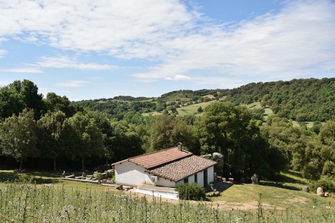 B&B I Menhir Sorgono Exterior photo