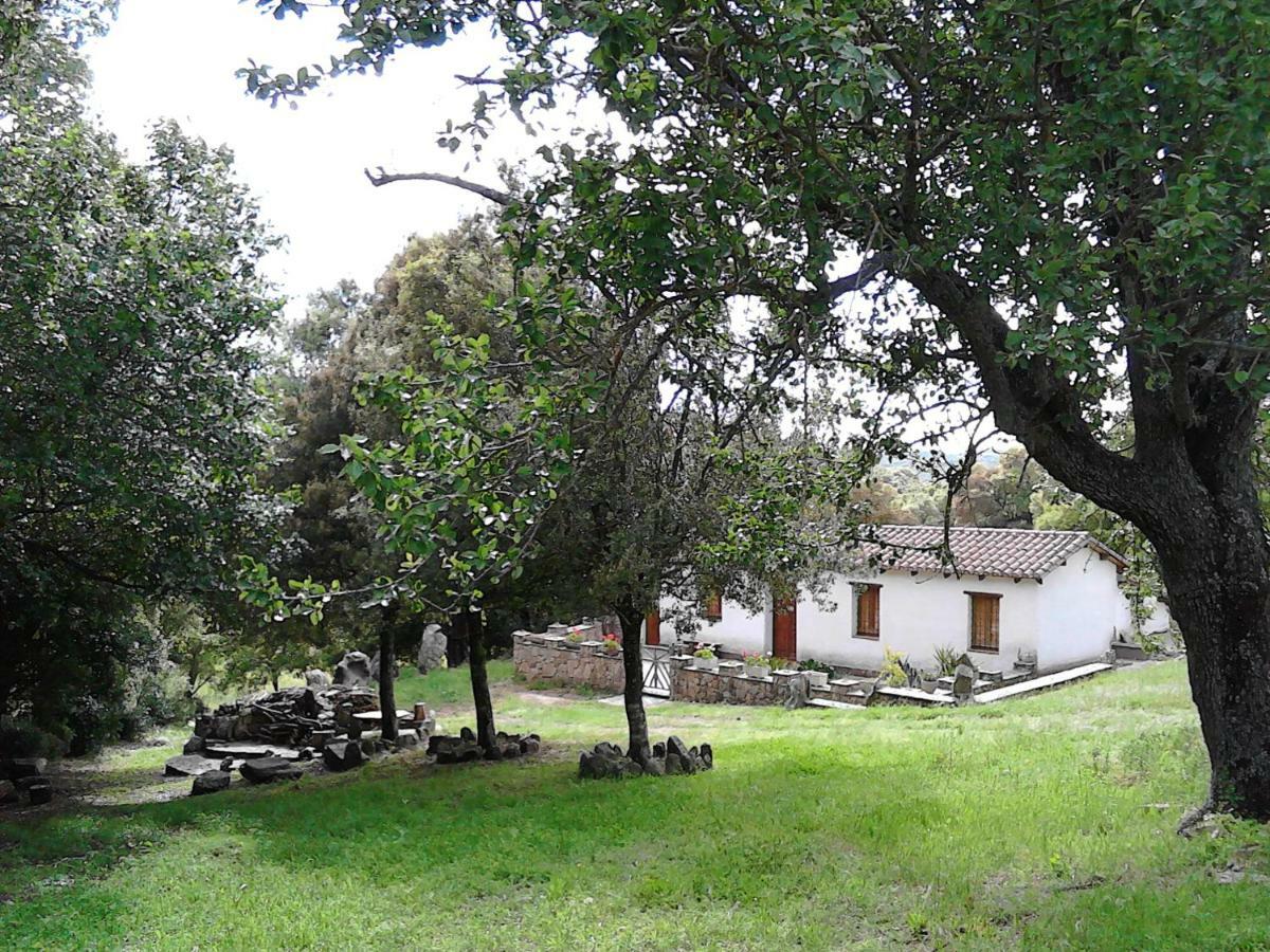 B&B I Menhir Sorgono Exterior photo